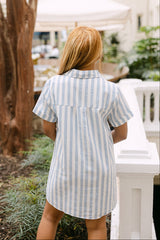 Saylor Blue & White Stripe Mini Dress