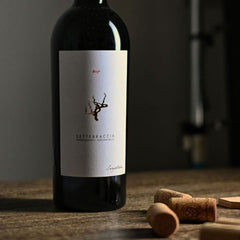 Cantine Sampietrana, Settebraccia 2021