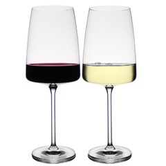 Schott Zwiesel Vivid Senses Fruity & Delicate Wine Glass (Pack of 2 Glasses)
