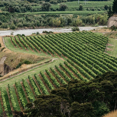Tohu Vineyard with rows of grapevines on a hilly landscape.
