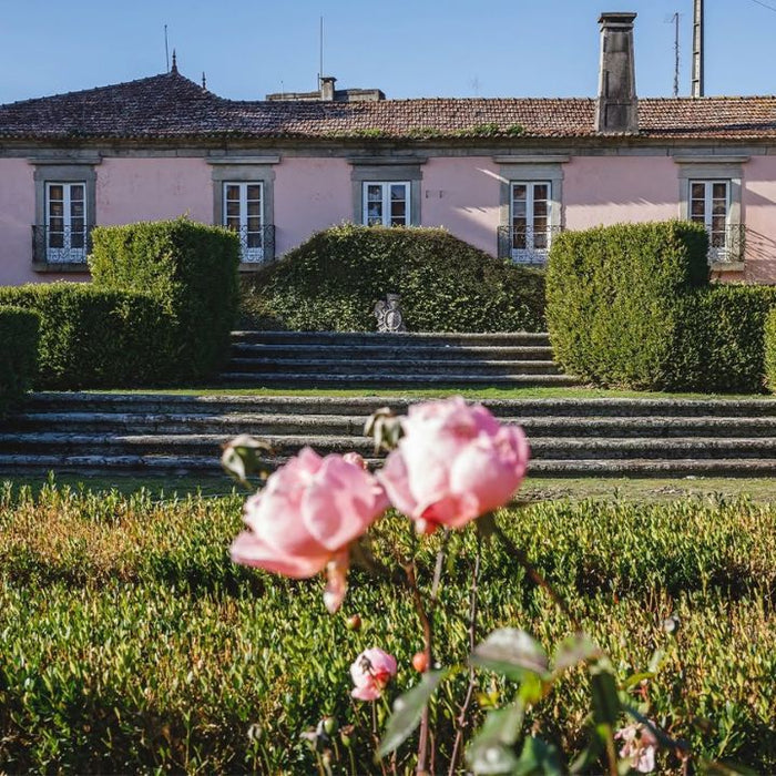 Casa de Vilacetinho, Grande Escolha Vinho Verde 2024