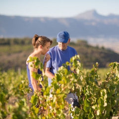 False Bay, Windswept Sauvignon Blanc 2025