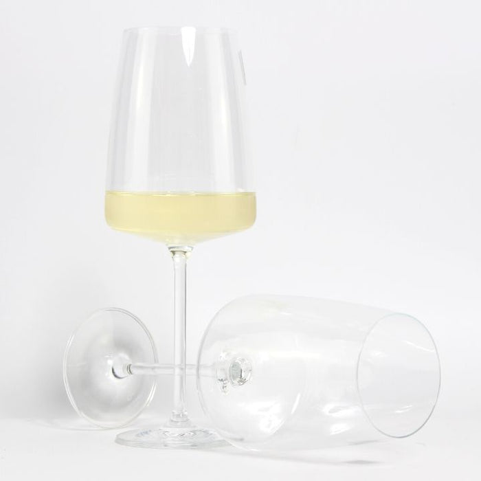 Schott Zwiesel Vivid Senses Fruity & Delicate Wine Glass (Pack of 2 Glasses) Wine In Glass